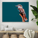 Kookaburra On Teal - Framed Canvas Print Wall Art Print, Wall Art, Ozark Home 