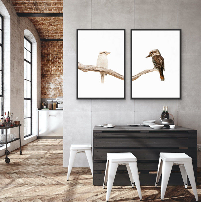 Kookaburra Pair - Two Piece Kookaburra Photographic Print Set on White, Wall Art, Ozark Home 