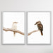 Kookaburra Pair - Two Piece Kookaburra Photographic Print Set on White, Wall Art, Ozark Home 