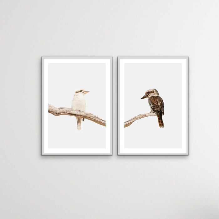 Kookaburra Pair - Two Piece Kookaburra Photographic Print Set on White, Wall Art, Ozark Home 