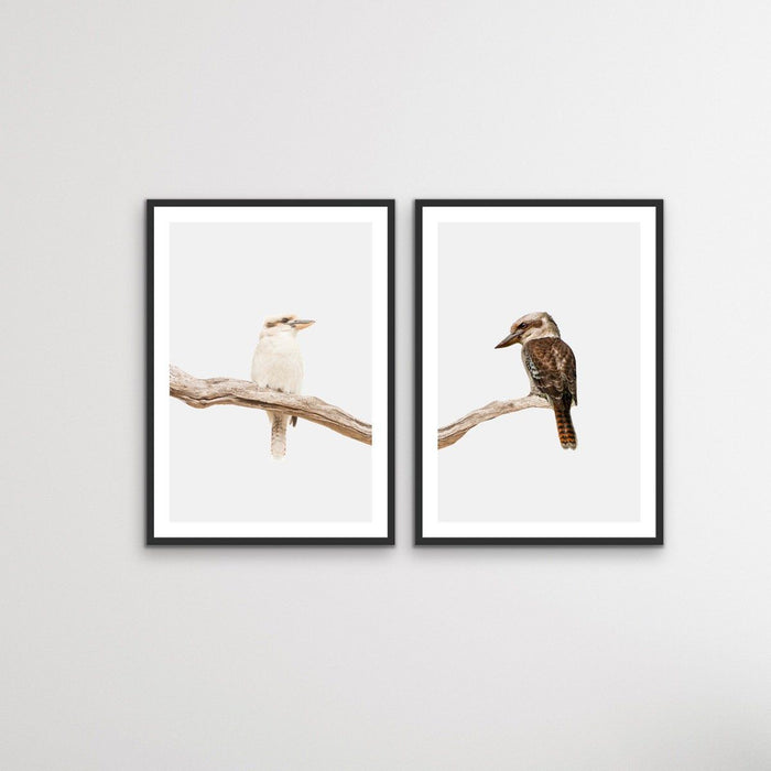 Kookaburra Pair - Two Piece Kookaburra Photographic Print Set on White, Wall Art, Ozark Home 