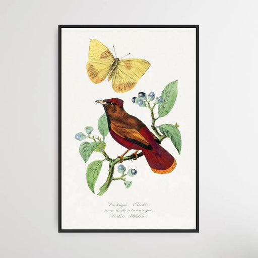 Larks Bird by Paul Gervais, Wall Art, Ozark Home 