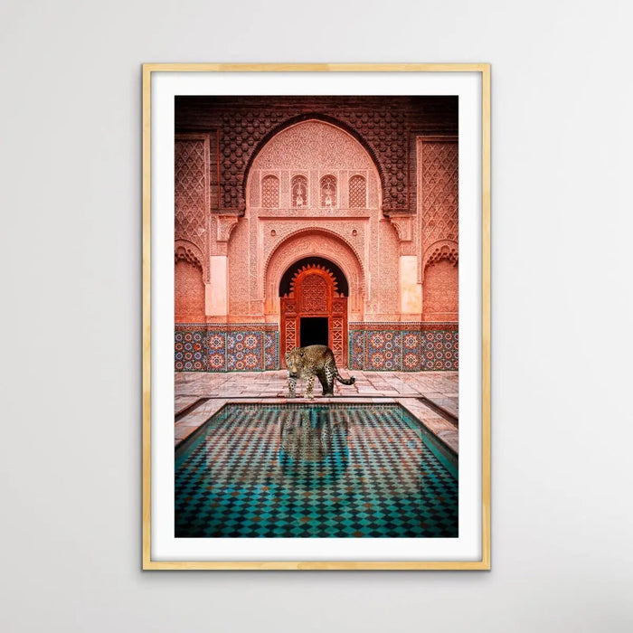 Leopard Loose In Marrakesh - Print of Leopard Next To Moroccan Style Pool, Wall Art, Ozark Home 