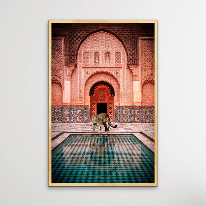 Leopard Loose In Marrakesh - Print of Leopard Next To Moroccan Style Pool, Wall Art, Ozark Home 