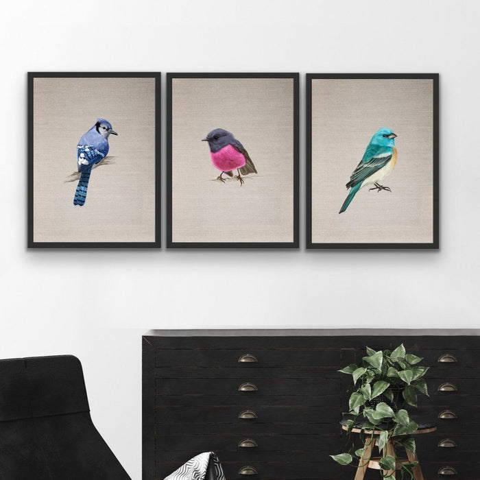 Little Gem Birds - Three Piece Watercolour Bird Wall Art On Canvas, Wall Art, Ozark Home 