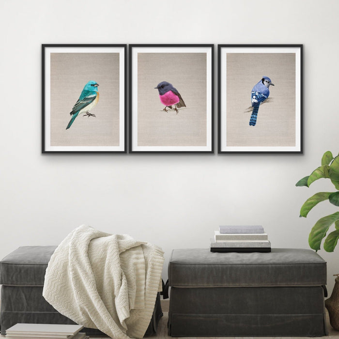 Little Gem Birds - Three or Six Piece Watercolour Bird Wall Art Prints, Wall Art, Ozark Home 