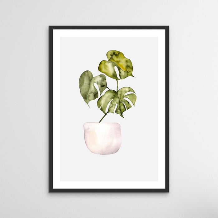 Little Pot Plants - Two Piece Set of Potted Plant Watercolour Illustrations, Wall Art, Ozark Home 