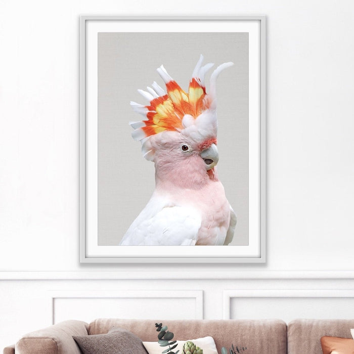 Major Mitchells Cockatoo (Leadbeater) Pink Cockatoo Canvas Wall Art Prints