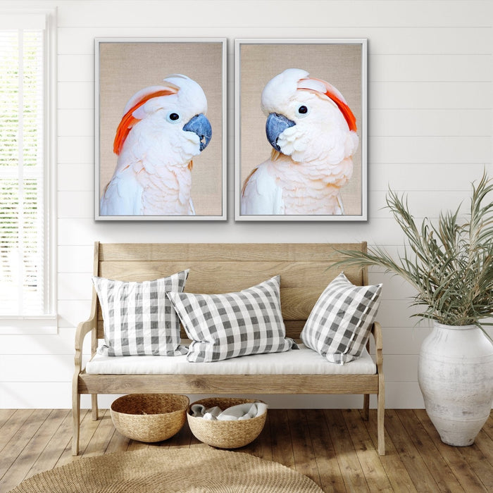 Moluccan Pink Cockatoo Pair - Two Piece Pink Moluccan Cockatoo Stretched Canvas Framed Wall Art, Wall Art, Ozark Home 