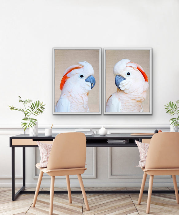 Moluccan Pink Cockatoo Pair - Two Piece Pink Moluccan Cockatoo Stretched Canvas Framed Wall Art, Wall Art, Ozark Home 