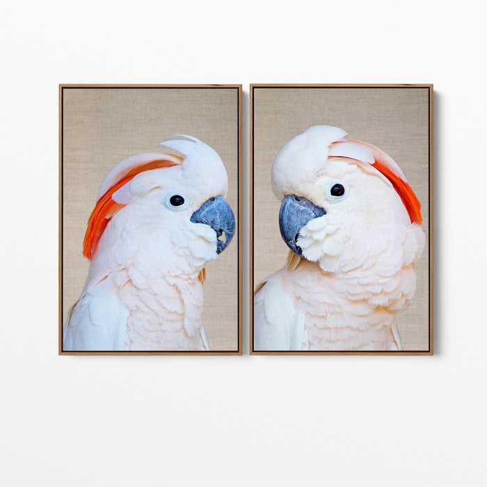 Moluccan Pink Cockatoo Pair - Two Piece Pink Moluccan Cockatoo Stretched Canvas Framed Wall Art, Wall Art, Ozark Home 