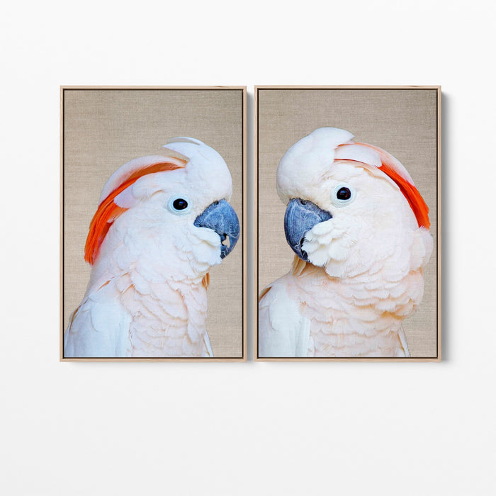 Moluccan Pink Cockatoo Pair - Two Piece Pink Moluccan Cockatoo Stretched Canvas Framed Wall Art, Wall Art, Ozark Home 