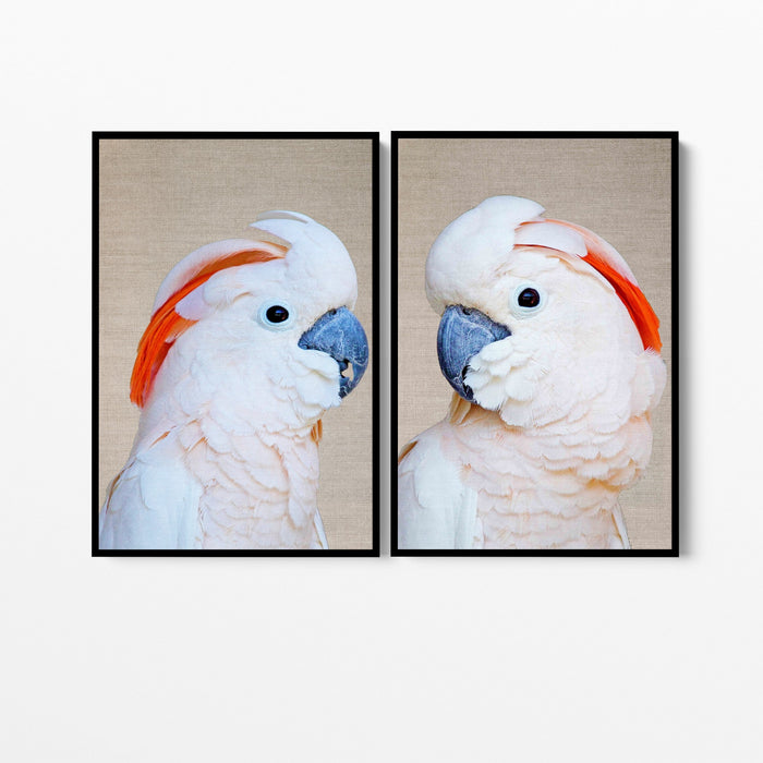 Moluccan Pink Cockatoo Pair - Two Piece Pink Moluccan Cockatoo Stretched Canvas Framed Wall Art, Wall Art, Ozark Home 