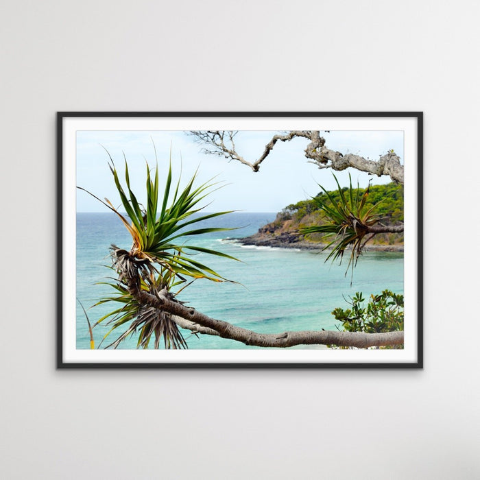 Noosa Beach - Pandanus and Ocean Sunshine Coast Photographic Art Print, Wall Art, Ozark Home 