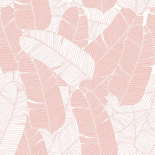 Palm Leaves - Coral - Wallpaper, Wallpaper, Ozark Home 