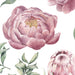 Peonies and Posies - Wall Decals, Wall Decal, Ozark Home 