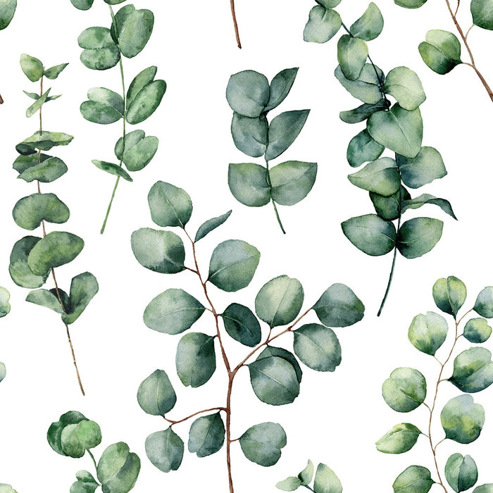 Round Eucalyptus - Wallpaper, Wallpaper, Ozark Home 