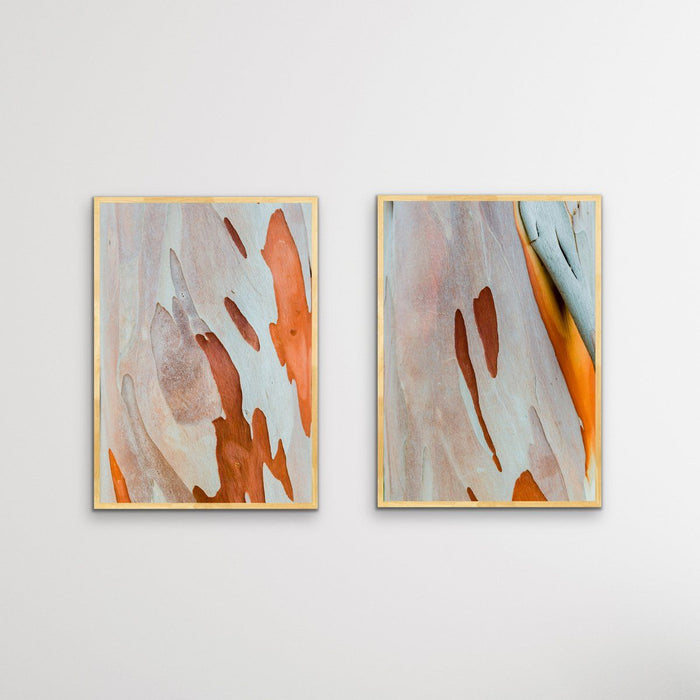 Ochre Bark - Two Piece Eucalyptus Bark Ochre Orange Red Print Set, Wall Art, Ozark Home 