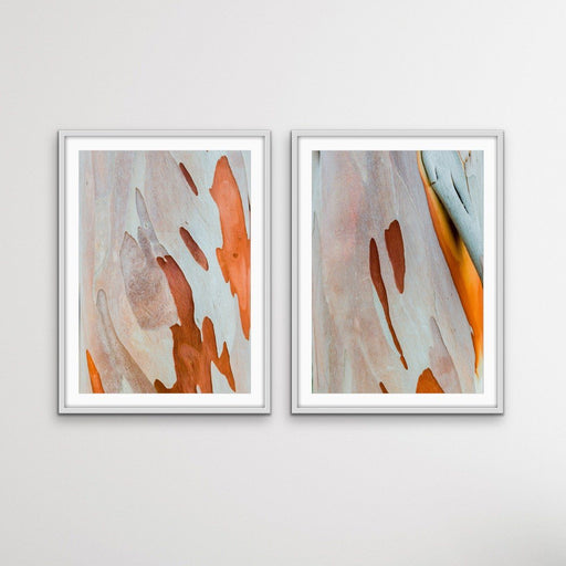 Ochre Bark - Two Piece Eucalyptus Bark Ochre Orange Red Print Set, Wall Art, Ozark Home 