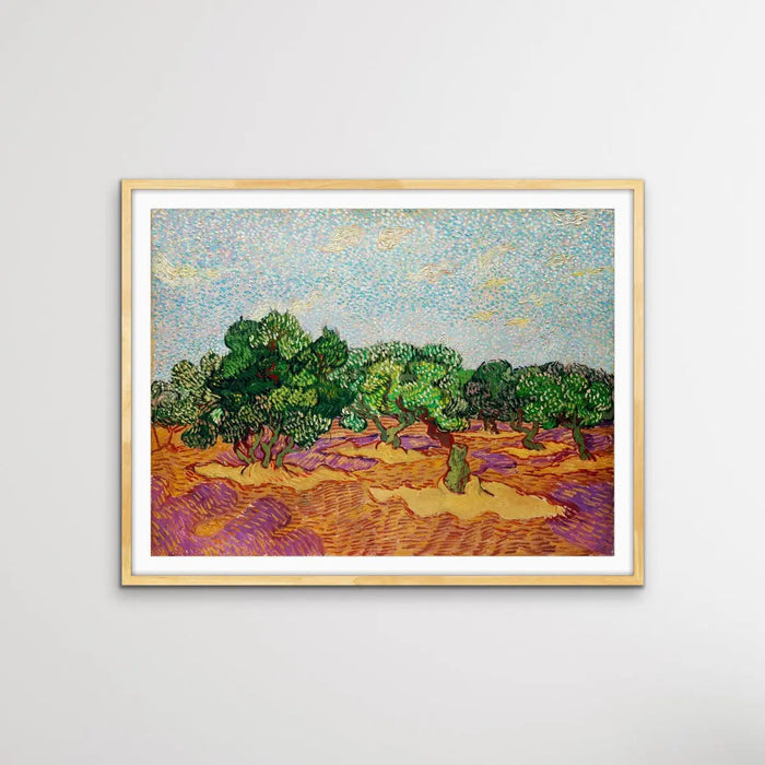 Olive Trees by Vincent Van Gogh - Print Of The Original Artwork