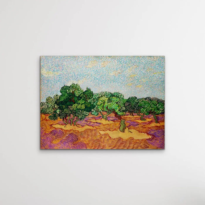 Olive Trees by Vincent Van Gogh - Print Of The Original Artwork