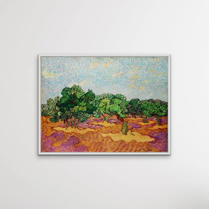 Olive Trees by Vincent Van Gogh - Print Of The Original Artwork