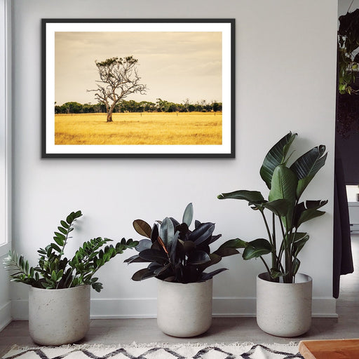 On The Farm - Australian Countryside Bush Yellow Landscape Art Print, Wall Art, Ozark Home 