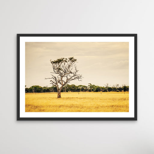 On The Farm - Australian Countryside Bush Yellow Landscape Art Print, Wall Art, Ozark Home 