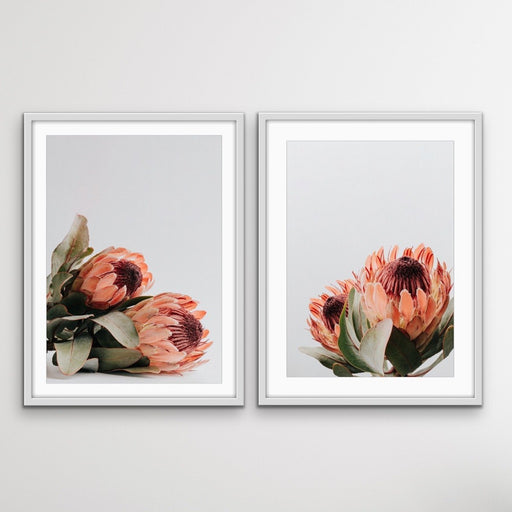 Orange Proteas - Two Piece Protea Photographic Print Canvas Framed Wall Art, Wall Art, Ozark Home 