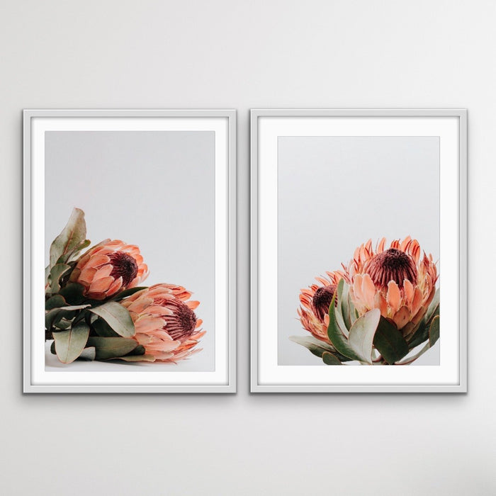 Orange Proteas - Two Piece Protea Photographic Print Canvas Framed Wall Art, Wall Art, Ozark Home 