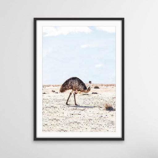 Outback Emu - Australian Outback Emu Bird Photographic Print, Wall Art, Ozark Home 