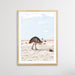 Outback Emu - Australian Outback Emu Bird Photographic Print, Wall Art, Ozark Home 