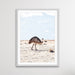 Outback Emu - Australian Outback Emu Bird Photographic Print, Wall Art, Ozark Home 