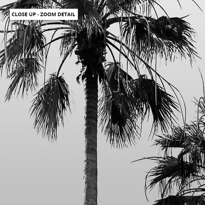 California Tropical Palms Black & White - Art Print - Ozark Home