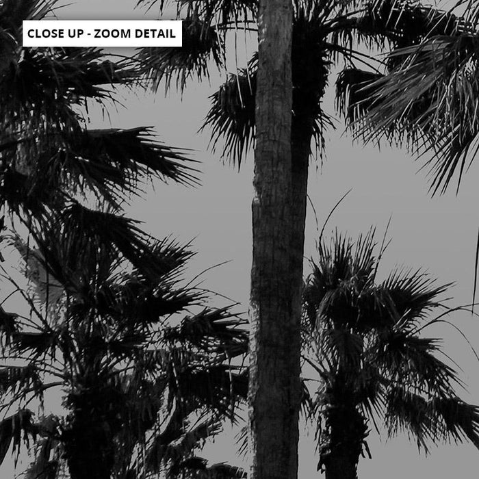 California Tropical Palms Black & White - Art Print - Ozark Home