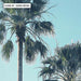 California Tropical Palms Landscape - Art Print - Ozark Home