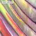 Bird of Paradise Detail - Art Print - Ozark Home