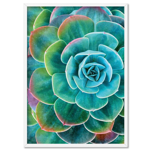 Succulent with Rainbow Tips - Art Print - Ozark Home