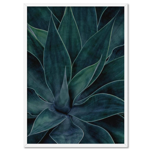 Dark Agave - Art Print - Ozark Home