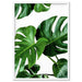 Monstera Leaves - Art Print - Ozark Home