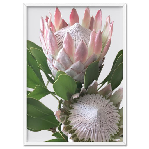 King Proteas in Soft Blush & White - Art Print - Ozark Home