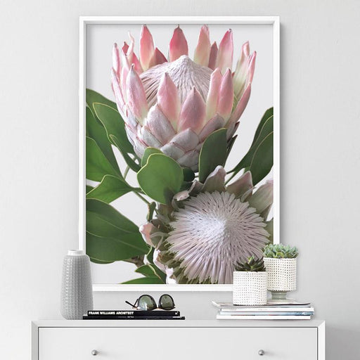 King Proteas in Soft Blush & White - Art Print - Ozark Home