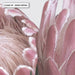 Queen Protea Stack - Art Print - Ozark Home