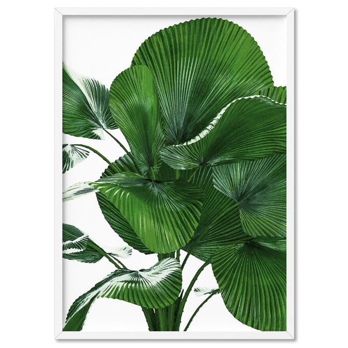 Fan Palm Leaves - Art Print - Ozark Home