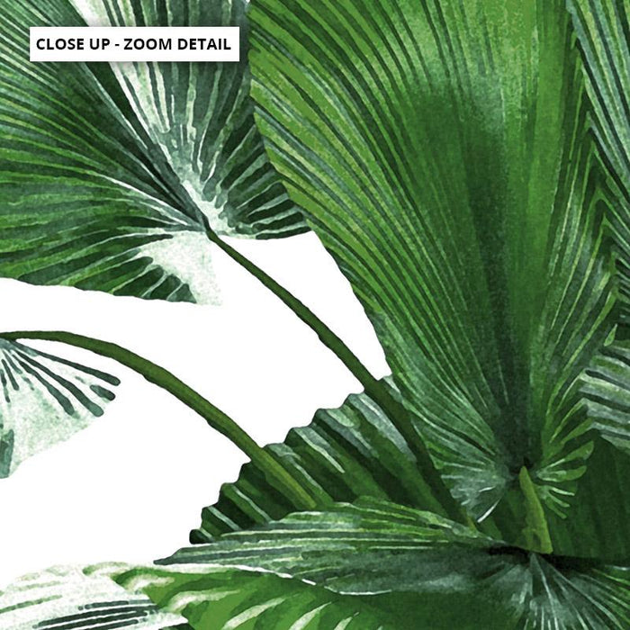 Fan Palm Leaves - Art Print - Ozark Home