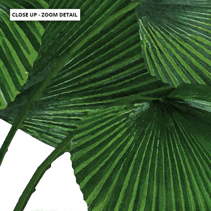 Fan Palm Leaves - Art Print - Ozark Home