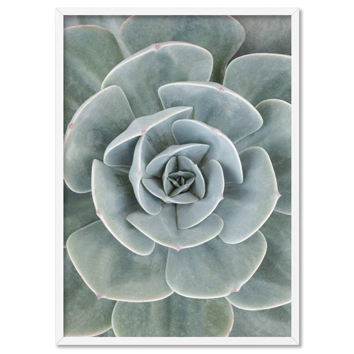 Succulent IV - Art Print - Ozark Home