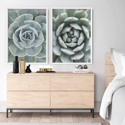 Succulent IV - Art Print - Ozark Home