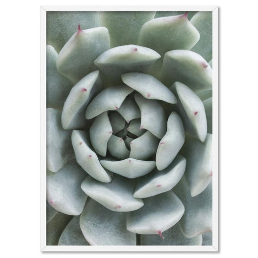 Succulent III - Art Print - Ozark Home