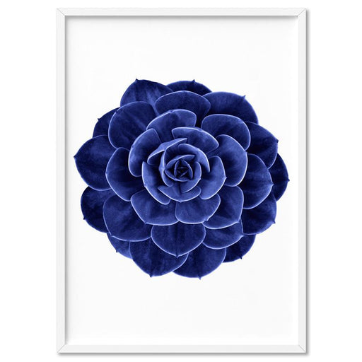 Indigo Succulent II - Art Print - Ozark Home